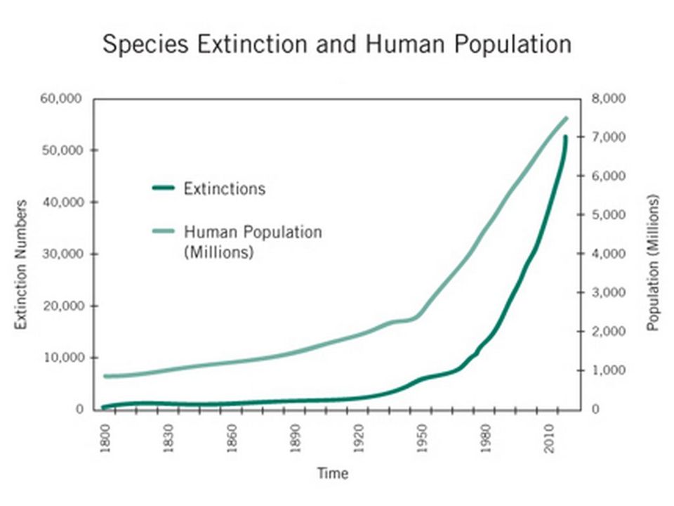 Species Extinction and Human Population